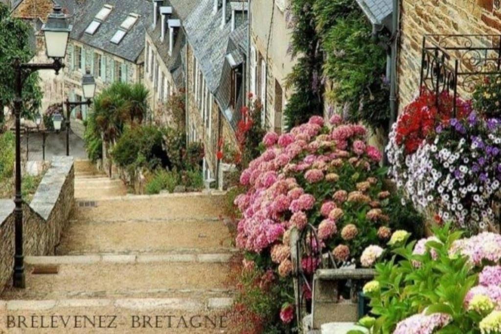 Maison Du Martin Pecheur A Lannion Exterior foto